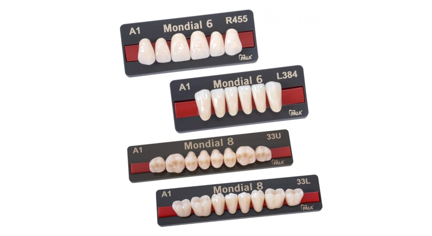 Kulzer Pala Mondial Teeth