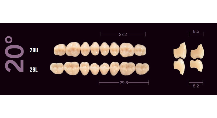 Kulzer Pala Mondial Teeth - Image 4