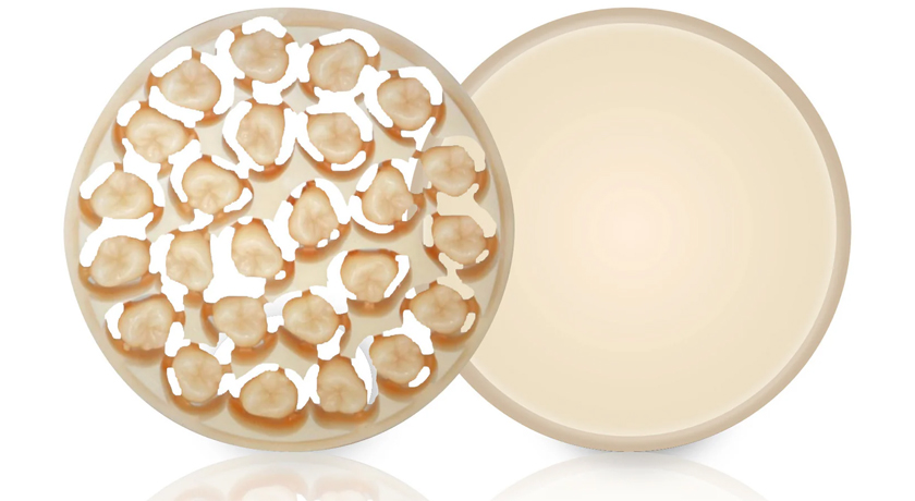 AMBARINO High-Class Disc