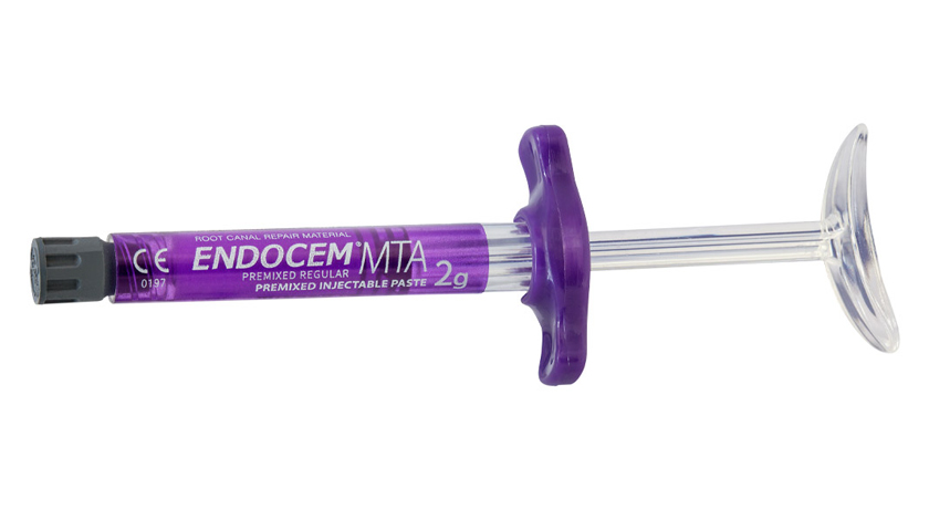 MTA Premix Injectable Paste