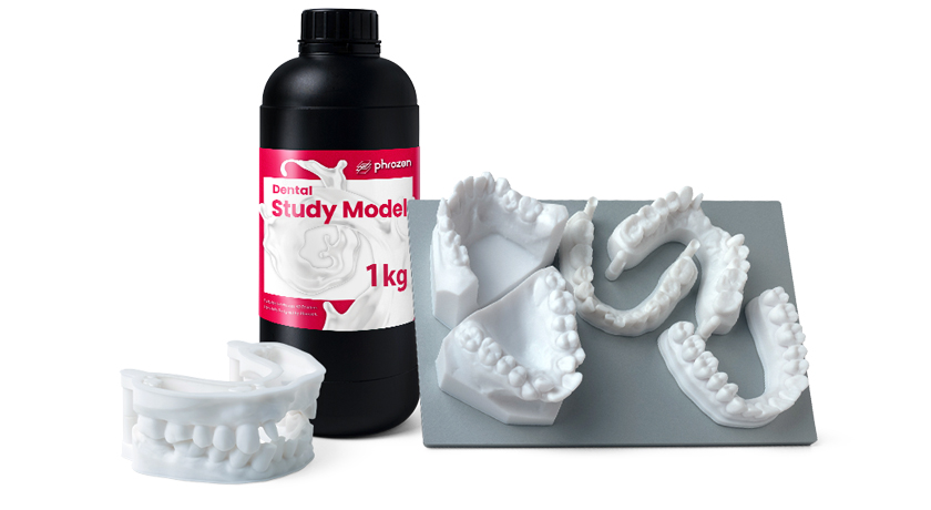 Dental Study Model Resin - Image 2
