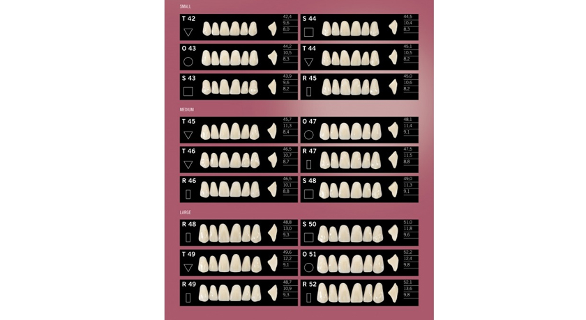 Kulzer DELARA Acrylic Teeth - Image 2