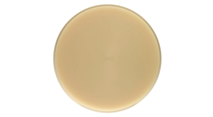 Sagemax PMMA precoloured | Dental Directory Australia